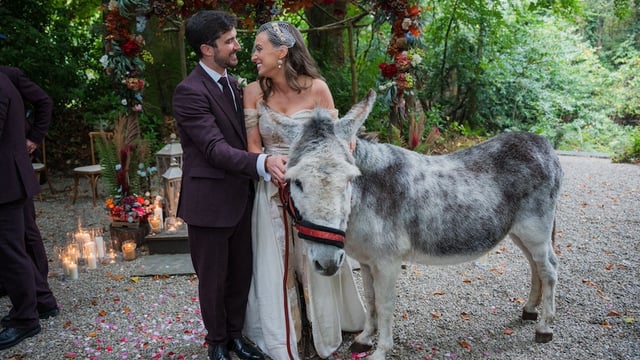 Meet Quincy, the donkey VIP wedding guest