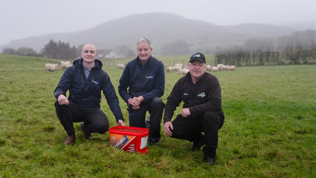 Now is the time to start preparing ewes for the 2026 lambing season