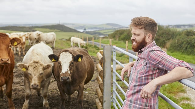 Warning issued that Mercosur 'as it stands will destroy' Irish and European beef farming