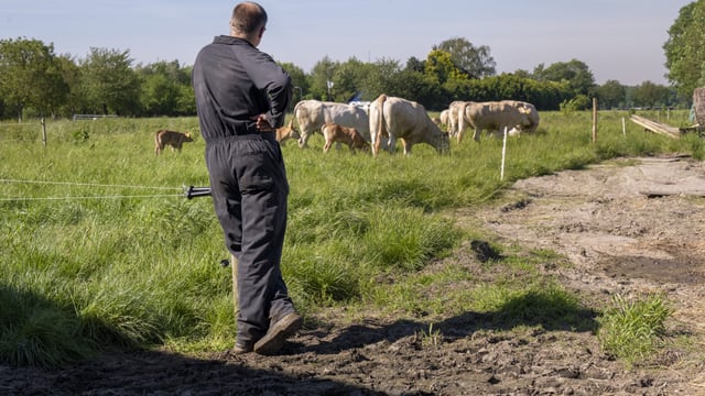 Tánaiste told of fresh concerns over Mercosur despite 'safeguard' clause