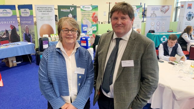 Biosecurity and hygiene 'biggest risks' facing Irish poultry sector - DAERA