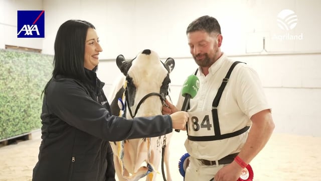 Day two of the AXA National Dairy Show 2025