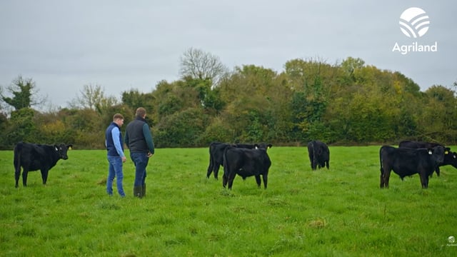 Watch: Managing a self-build and buying calves with no up-front payment