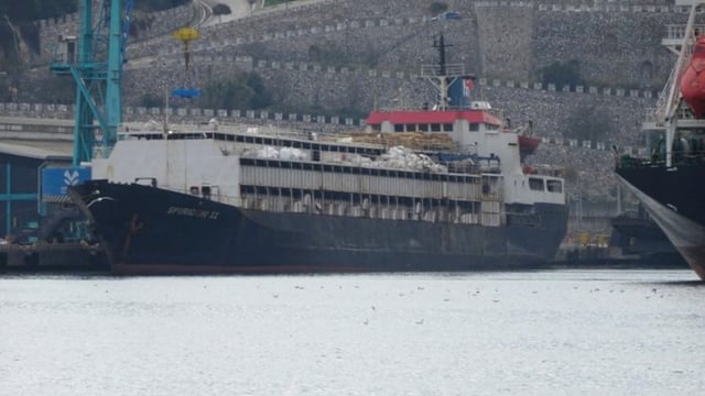 Uruguayan cattle stranded on ship due to tagging issues