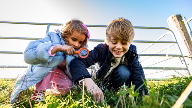 Airfield open farm continuing legacy of community nurturing