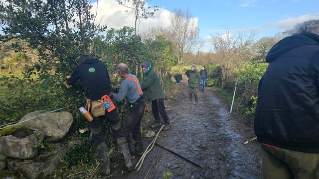 Workshops for boosting farmland biodiversity to be held in Galway