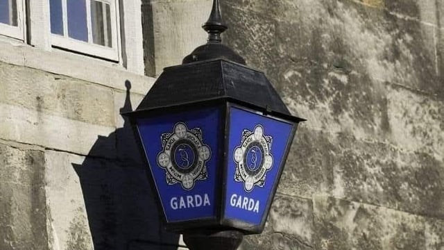 Gardaí arrest man on suspicion of stealing 18 cattle in Cork