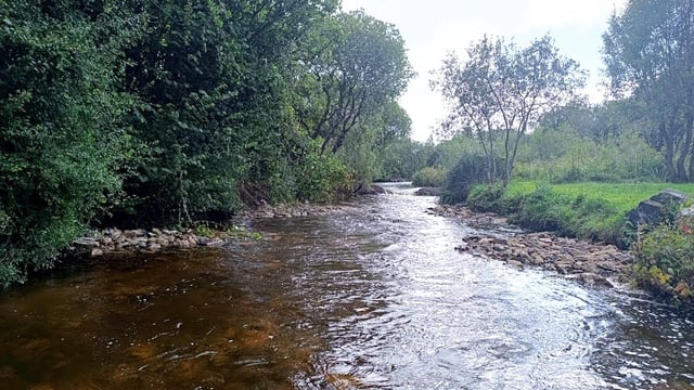IFI to provide over €1m for river restoration projects in 2026