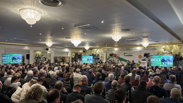 Applause at beef conference for suckler farmers who 'stayed at it'