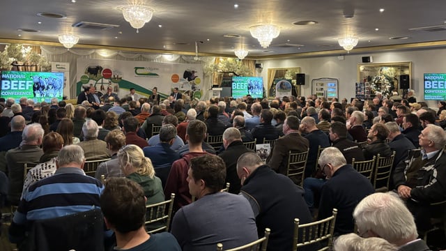 Beef conference: Weanlings, markets, succession and tax planning