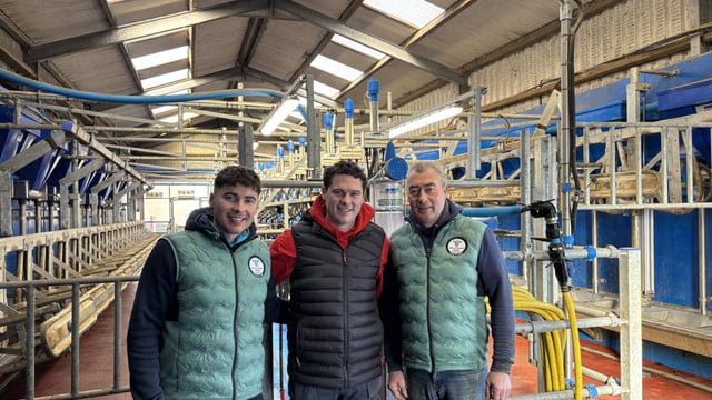 Dairy Focus: Video - Kerry family supplying more than just the co-op
