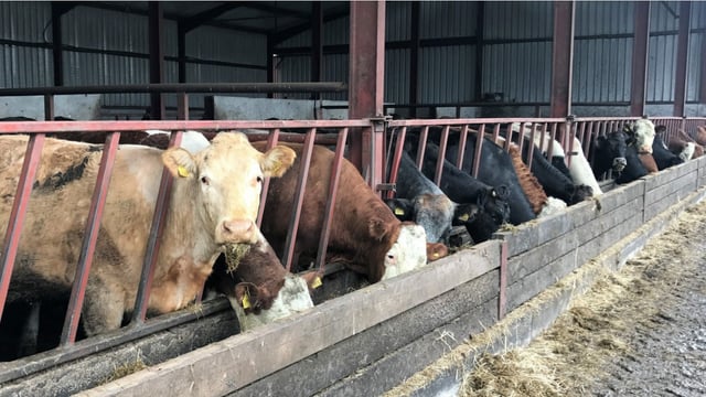 Deadline for NGP participants to return samples nears