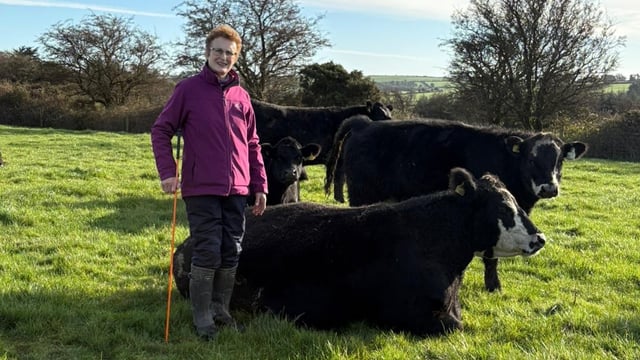 Impressive performance on Cork organic suckler-beef farm