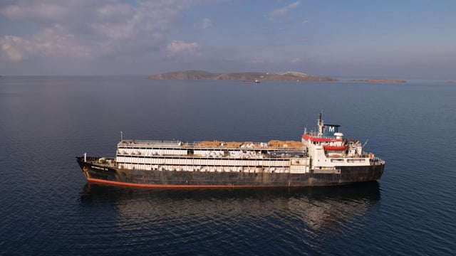 Destination unknown for livestock ship after reportedly unloading in Libya