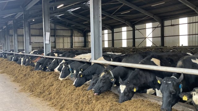 Want to know how to maximise margins from winter milk?