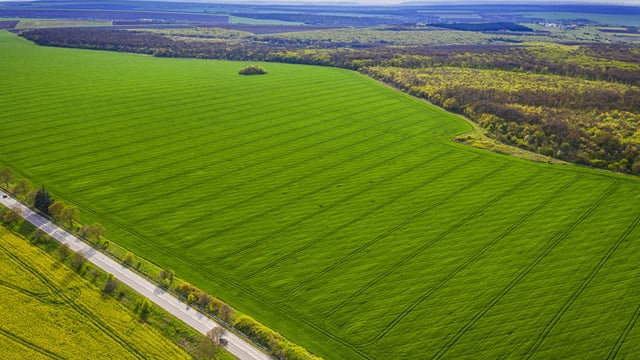 Minister anxious to get land use review published 'before Christmas'