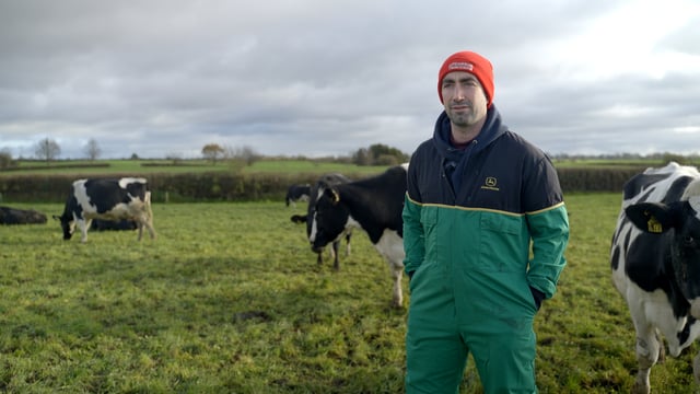Dairy Focus: Preparing for dry-off on an award-winning farm