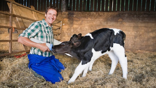 Dairy farmers work on average '400 hours' more a year than other farmers