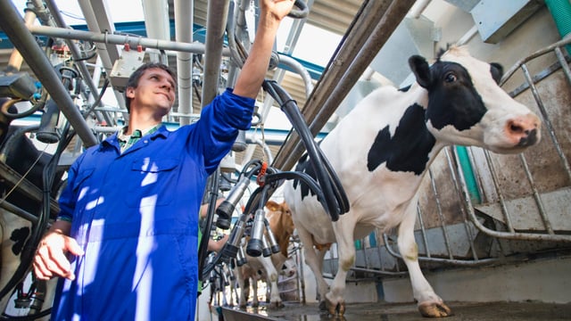 GDT falls again with butter recording the biggest slip