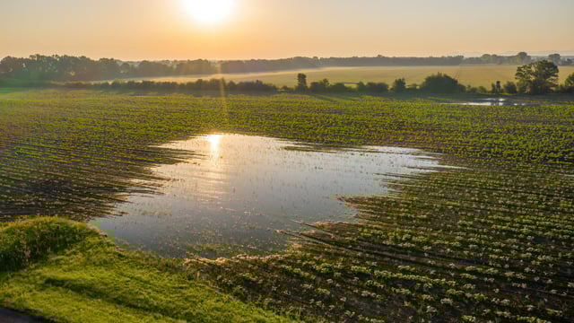 Reducing chemical nitrogen use identified as an 'action' to fight climate change