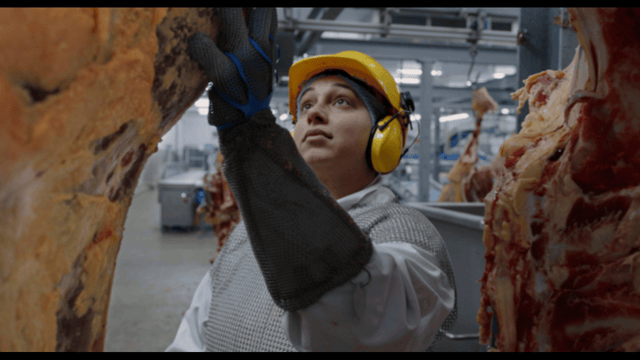 Meat Business Women seeks input for gender representation report