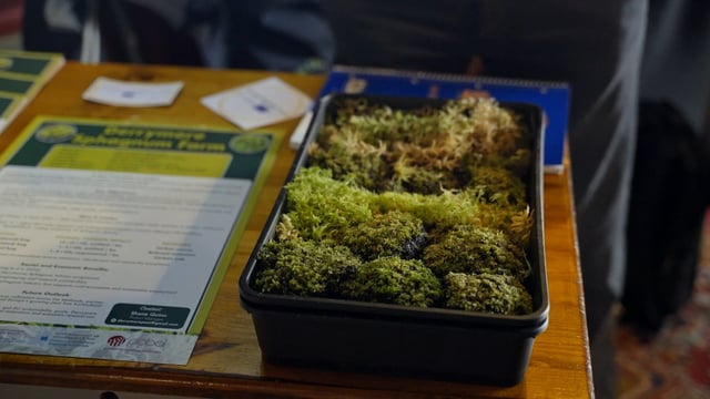 How peatland farmers are driving Ireland's midlands towards a greener future