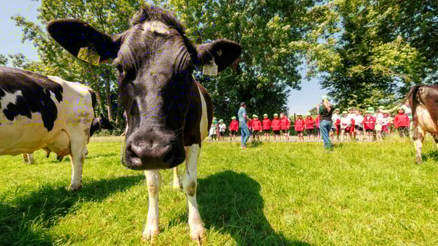 NDC Farmer Ambassador Series: 'We take for granted that the public knows about farming'