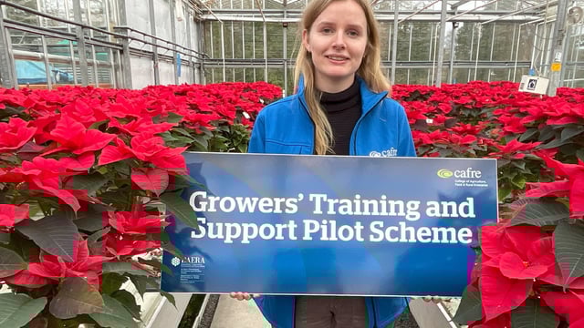 CAFRE Horticulture Pilot Scheme application deadline extended