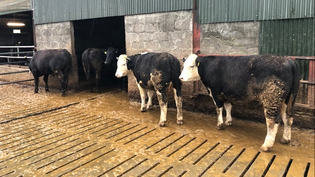 Value of using data records to benchmark farm performance