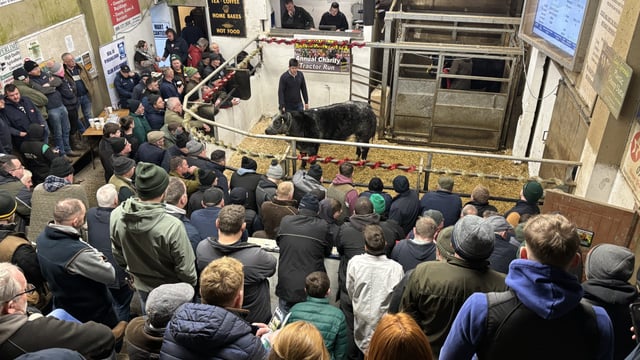 Mart report: Top call of €10,600 at Manorhamilton Fatstock Sale