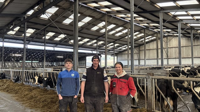 Listen: How a Waterford farmer is maintaining a sub 60 SCC