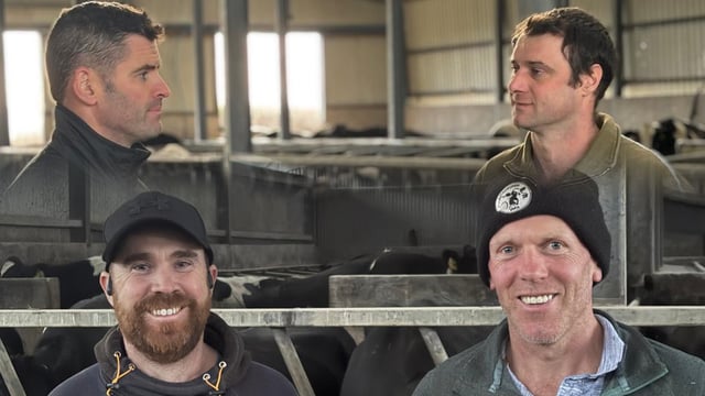 Scour vaccines deliver peace of mind for Kilkenny and Cork dairy farmers