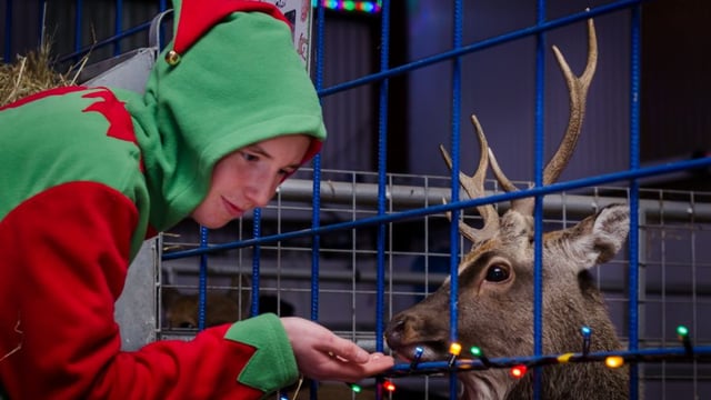 Festive times at Kia Ora Mini Farm