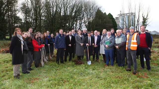 'Every site has potential' for planting trees - Healy-Rae