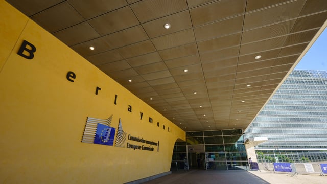 Commission can 'limit the inflow of the most sensitive products' - von der Leyen