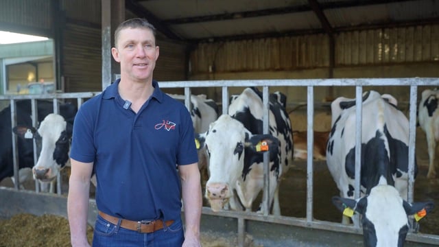 Watch: Award-winning Hallow Holsteins herd and its 'unbelievable year'