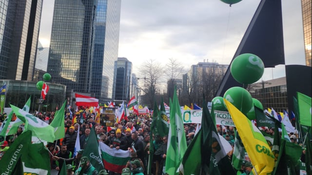 Video: 10,000 farmers demonstrate 'unity' in Brussels -  Copa Cogeca