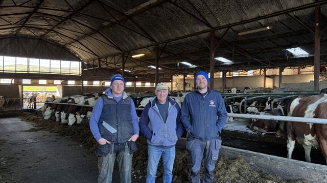 Listen: Montbéliarde herd producing 557kg/MS in Co. Wicklow