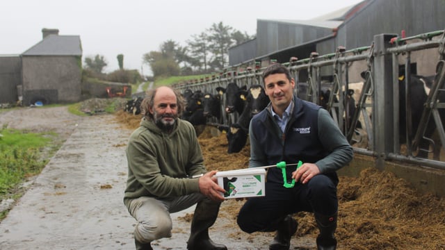 Helping to secure optimal herd breeding performance on a west Cork dairy farm