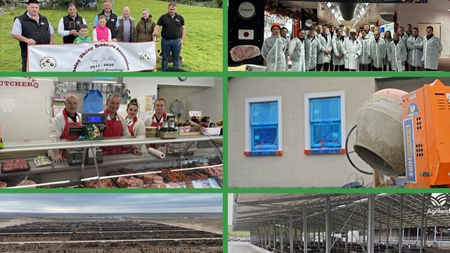 Rural focus revisit: A look back at some of the 2025 focus stories