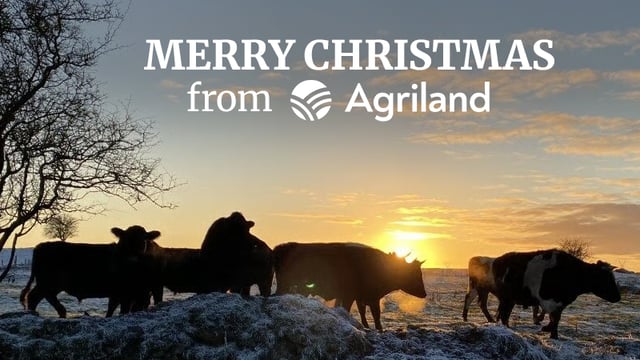 Watch: Happy Christmas from the Agriland Team