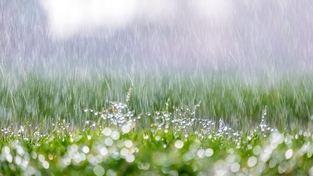 Met Éireann: Status Yellow rain warning on way for 7 counties from tomorrow night