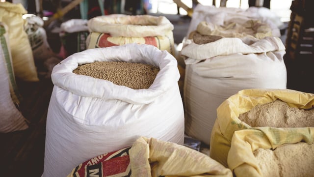 Ireland to commit €35m to UN World Food Programme next year