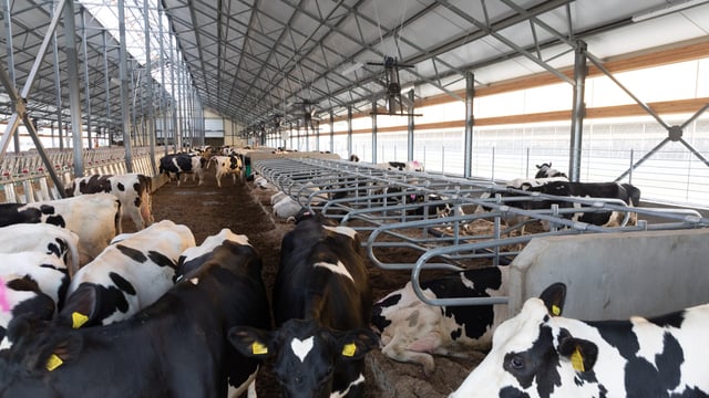 DAFM: Important nitrates deadlines for 2025