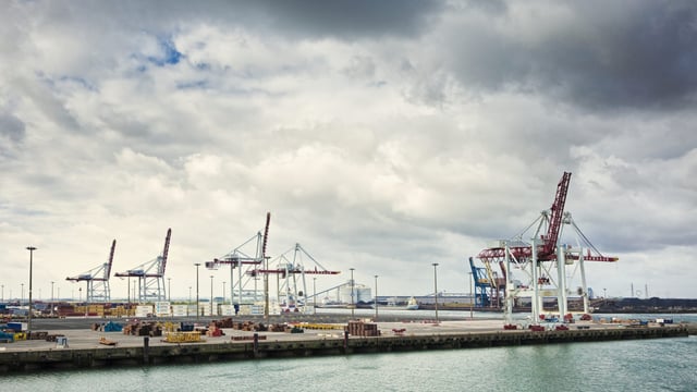 Commission to 'reinforce significantly' controls on all agri-food products from January