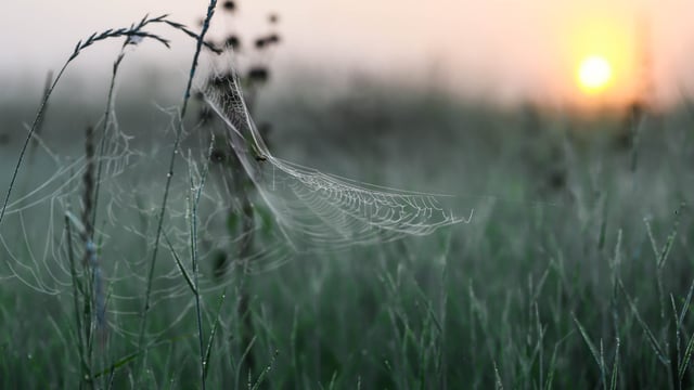 'Largely dry conditions' this week but weather to turn colder  - Met Éireann