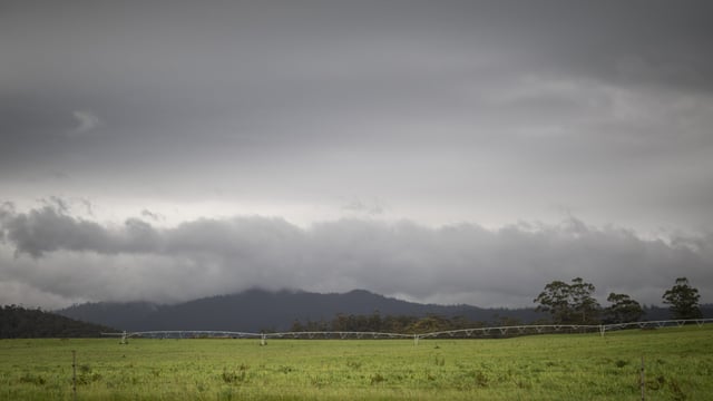 First quarter of 2026 could see 'above average rainfall overall'