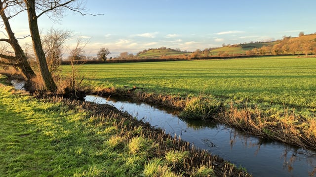 An Taisce: Nitrates derogation decision is a 'bad day for Irish waterways' 