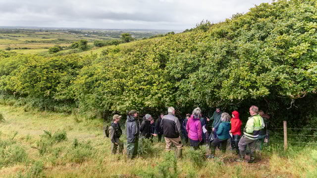 Kerry woodland project seeks landowners and farmers