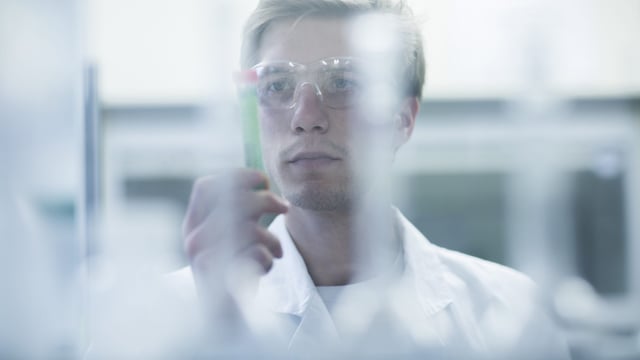 NI waiting on test results from Germany and England on suspected bluetongue samples